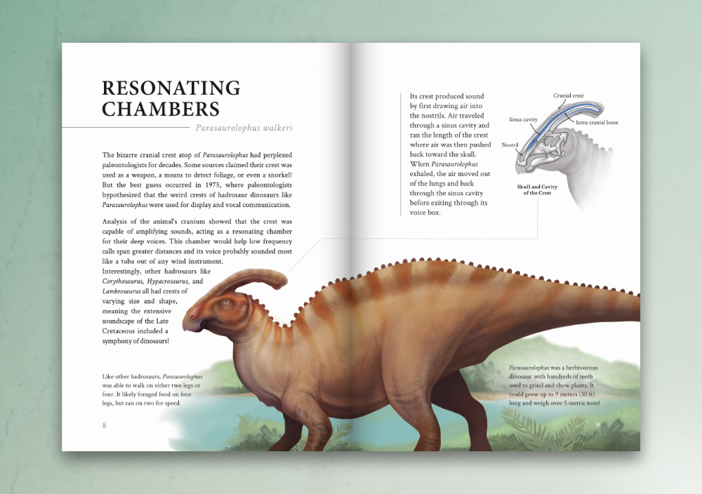 The first species illustrated in the book is Parasaurolophus